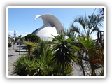 Bilder im Bereich des Auditorio de Tenerife.