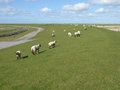 Naturschutzgebiet Leyhörn
