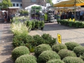 Harderwijk Wochenmarkt