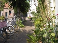 Harderwijk