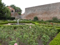 Harderwijk
Reste der Stadtmauer