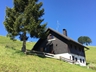 Hofsgrund  Bildnr.  11