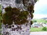 Hofsgrund  Bildnr.  16