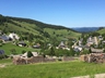 Hofsgrund  Bildnr.  2