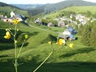 Hofsgrund  Bildnr.  4
