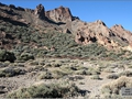 Teide Bildnr. 07