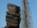Teide Bildnr. 13