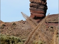 Teide Bildnr. 14