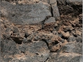 Teide Bildnr. 48